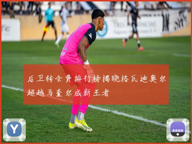 后卫转会费排行榜揭晓格瓦迪奥尔超越马奎尔成新王者