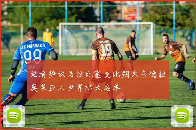 记者热议马拉比塞克比朔夫韦德拉奥果应入世界杯大名单